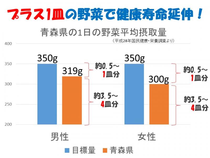 H28野菜摂取量