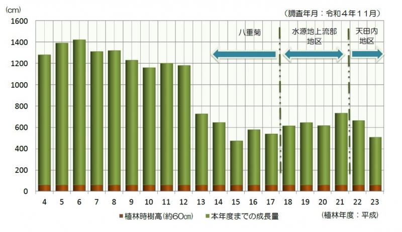 R4ブナ成長量グラフ