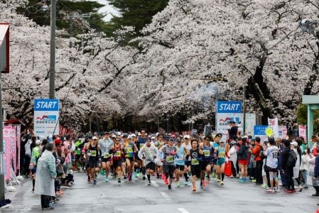 あおもり桜マラソン開催事業