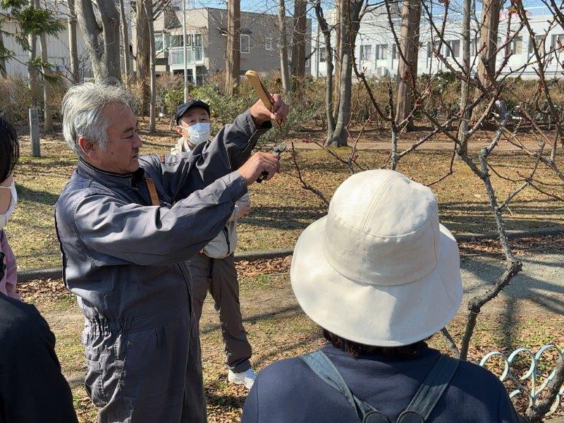 春のバラせん定・管理講習会