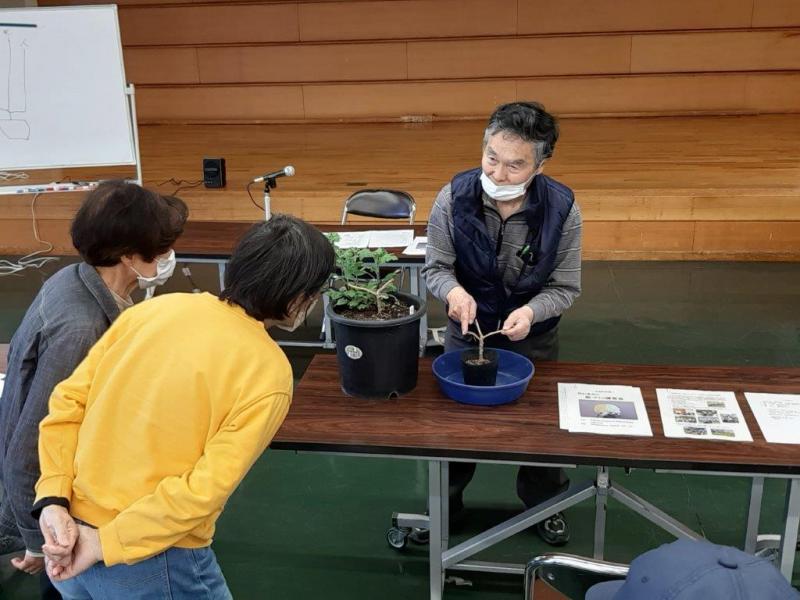 菊づくり講習会の様子