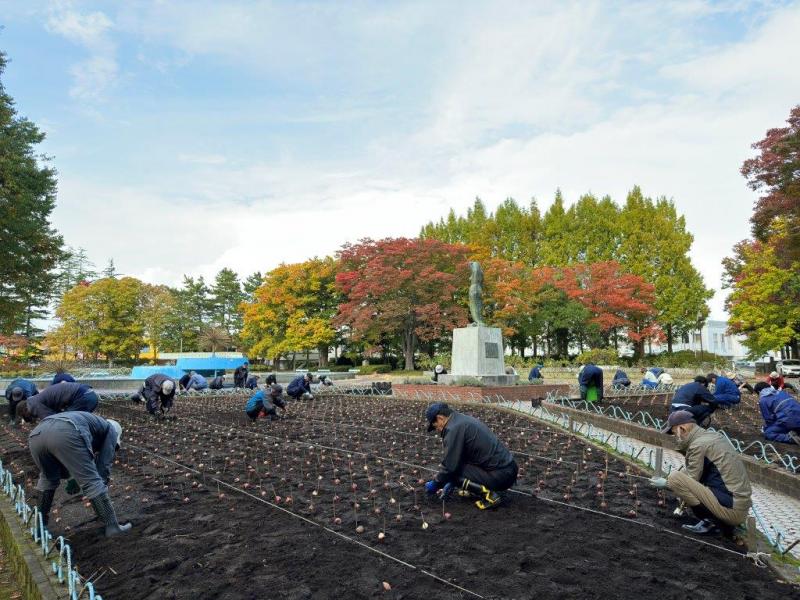 令和5年度平和公園秋の植栽