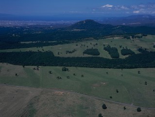 上空から見た八甲田放牧場