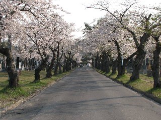 三内霊園