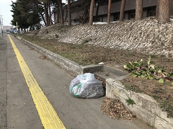 清掃活動後の歩道