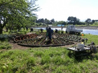 荒川河川敷公園整備3