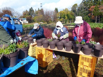 花の寄せ植え1