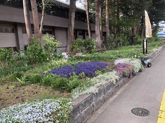 作業をしている花壇の様子