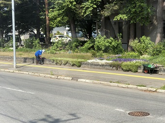 歩道掃除の様子