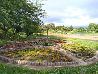 荒川河川敷公園1