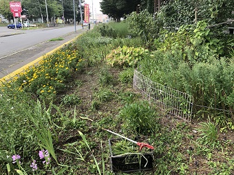 作業中の花壇の様子