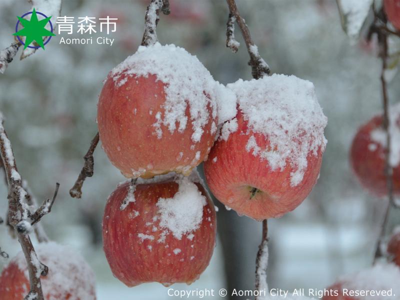 雪見りんご